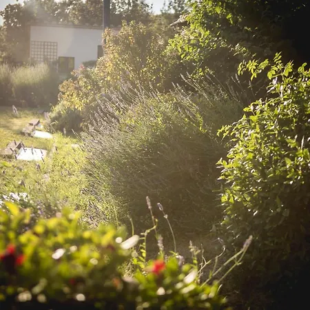 Σπίτι διακοπών La Fonte Di Montebuono *