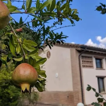 La Fonte Di Montebuono *