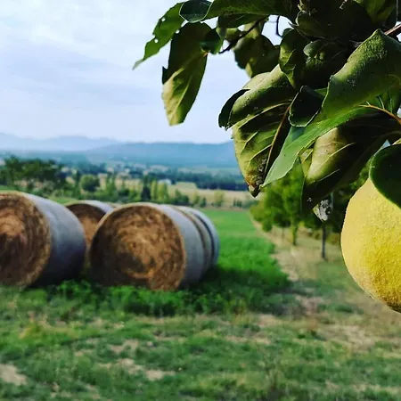 Ferienhaus La Fonte Di Montebuono Magione